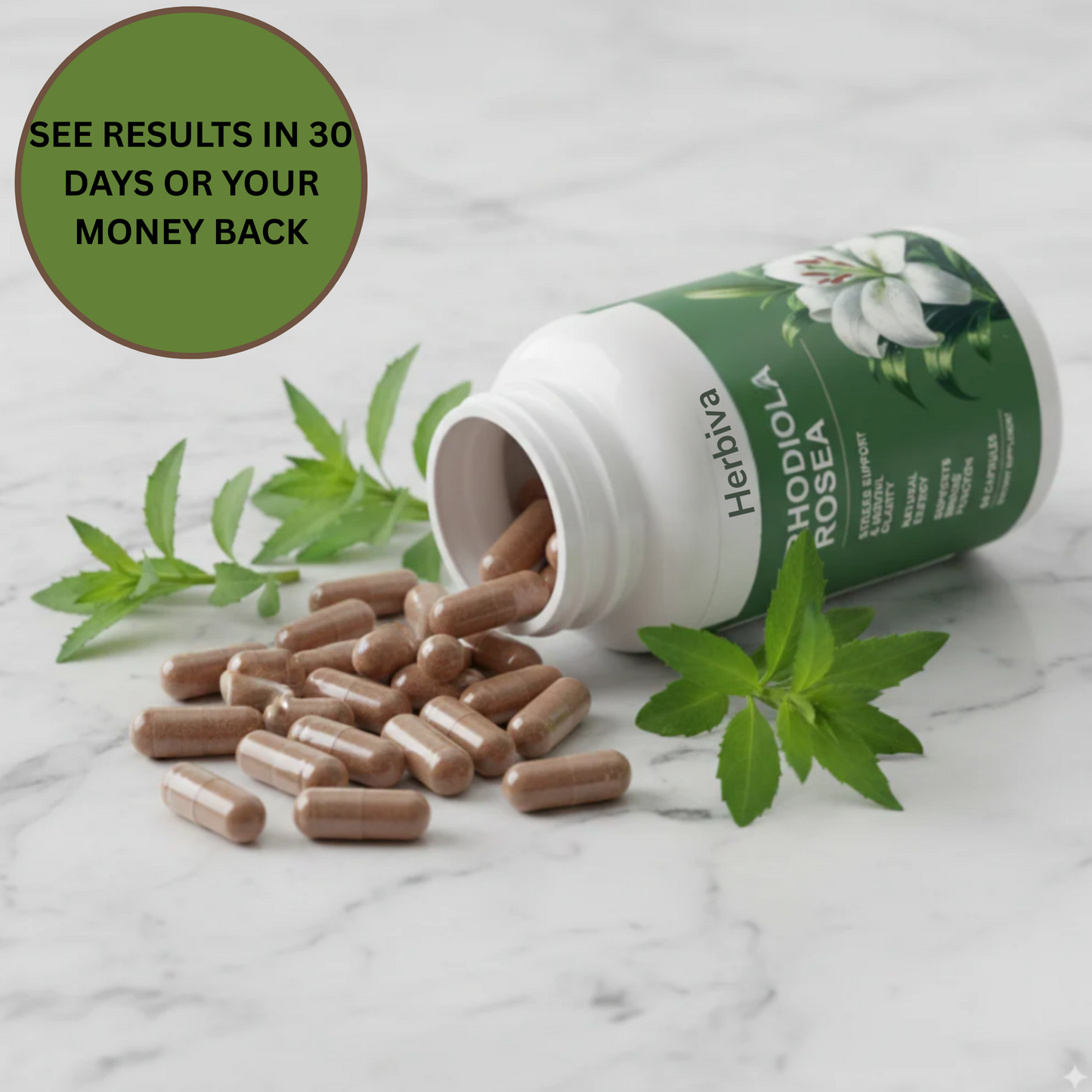 Herbiva Stress Support Supplement